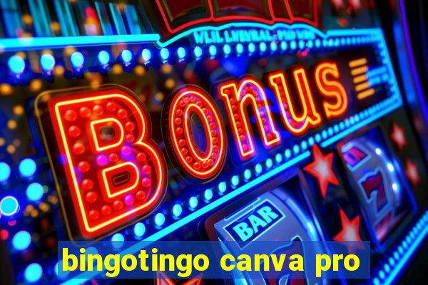 bingotingo canva pro